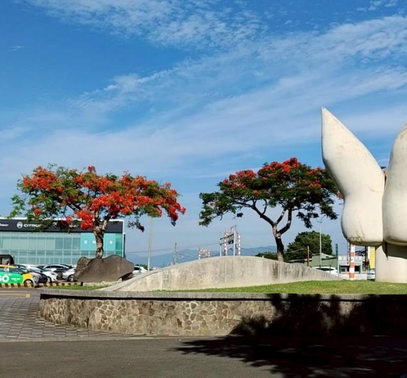 花博公園新生園區則以寬闊草地與花影相互映襯，呈現悠閒愜意的夏日氛圍