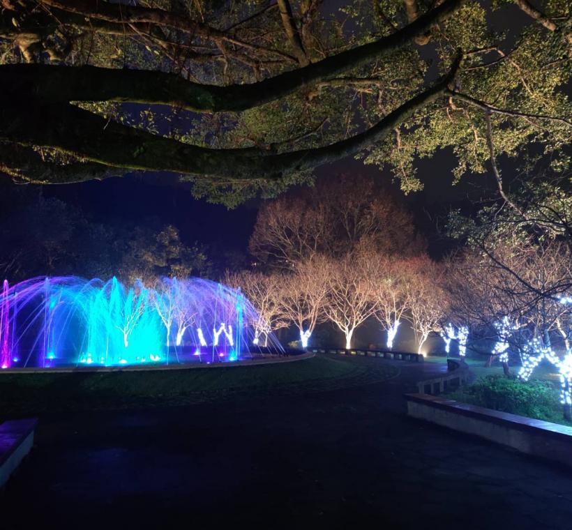 噴水池夜間燈光