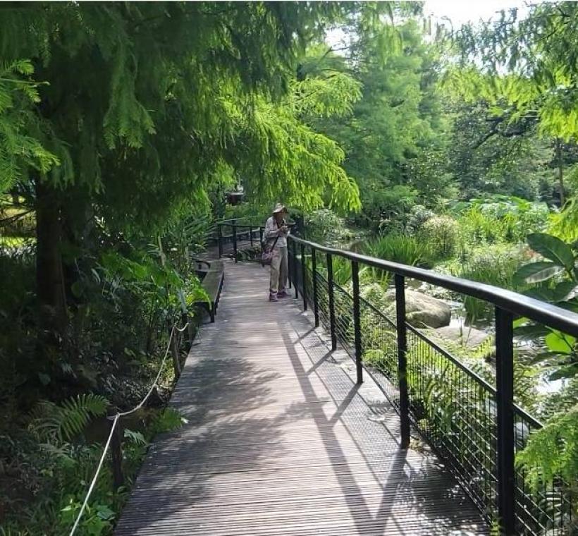 落羽松步道呈現不同四季風貌