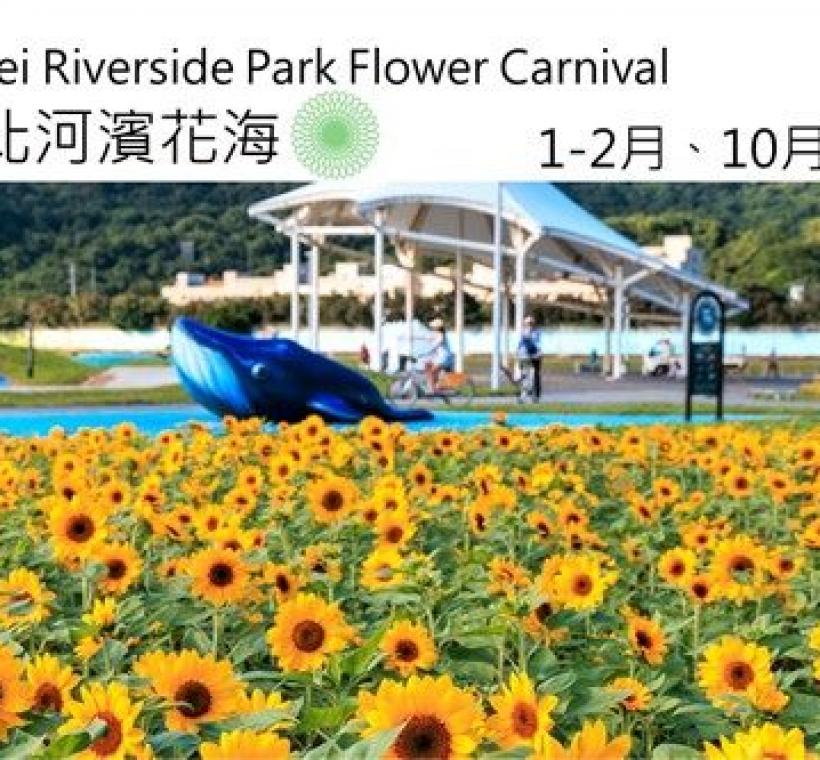 在河濱公園依著時令呈現由當季草花打造出大面積花海的「台北河濱花海」