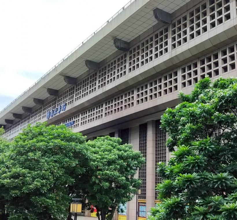 臺北車站北側臨市民大道一段綠帶的海檬果已進入盛花期