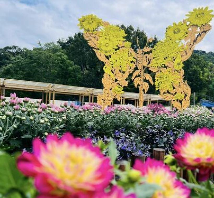 「蛻菊」藝術裝置，象徵每個夢想都需經過破蛹歷程才能展翅高飛。