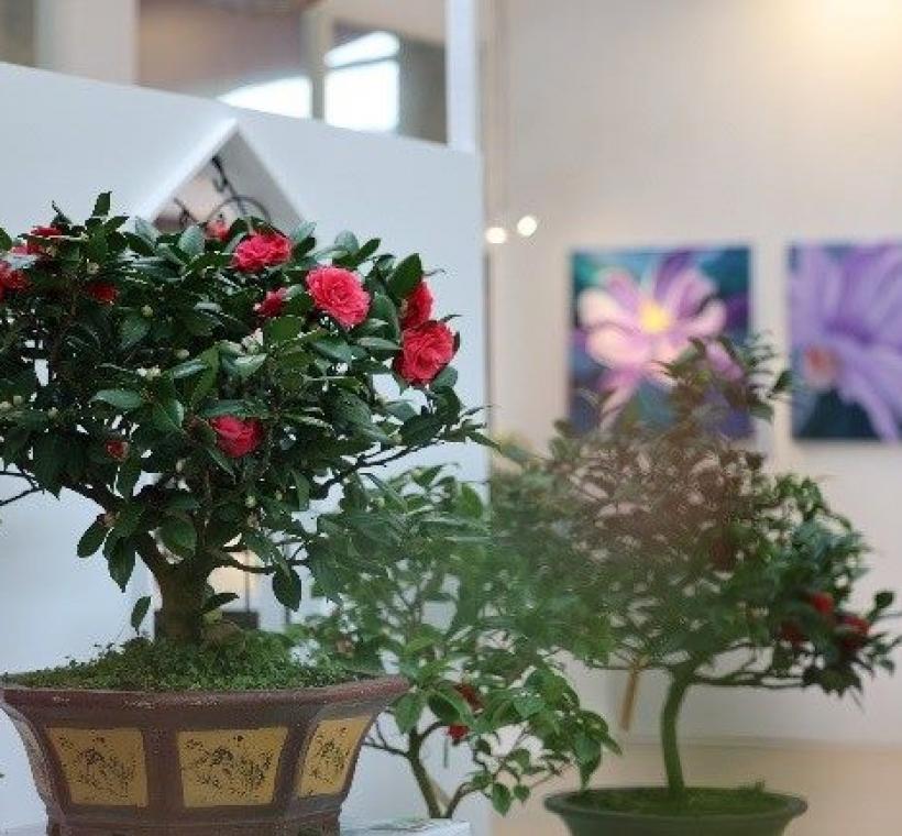 室內展場展示茶花盆景與藝術畫作，融合園藝與藝術之美。