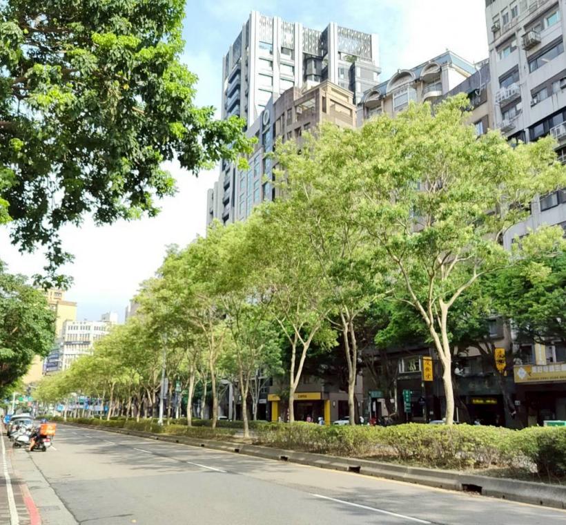 信義路安全島的光臘樹下種植杜鵑、草花等充滿四季變化的動感之美