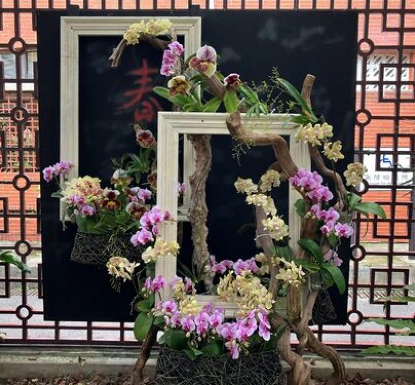 巧妙運用畫框勾勒出花與樹的律動感與生命力