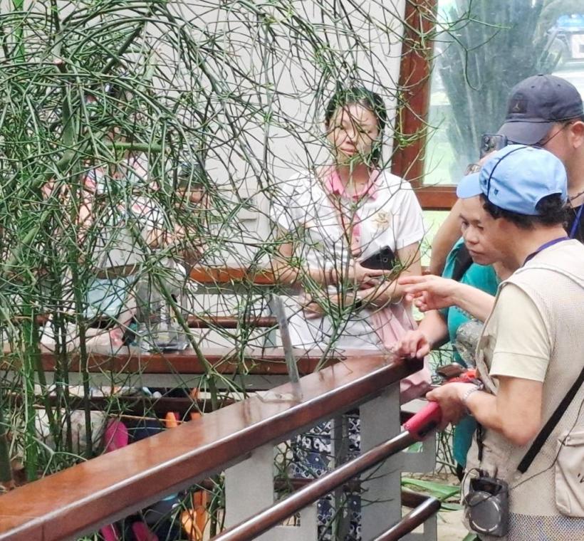 園區志工帶領大家認識不同植物。