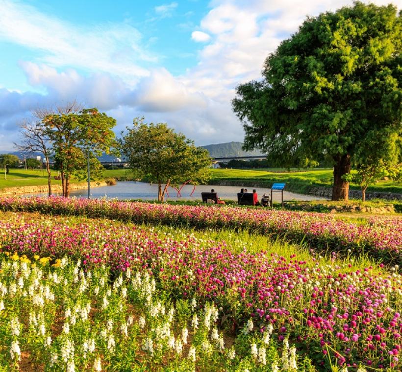 美堤河濱花海(攝影:曹正邦)