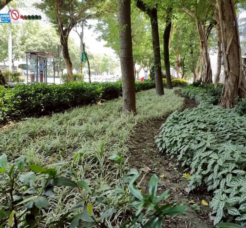 例如銀紋沿階草與麥門冬，兩者顏色明暗對比而相似的型態，搭配波浪形邊緣的塑造，提供行人帶著節奏感的趣味性