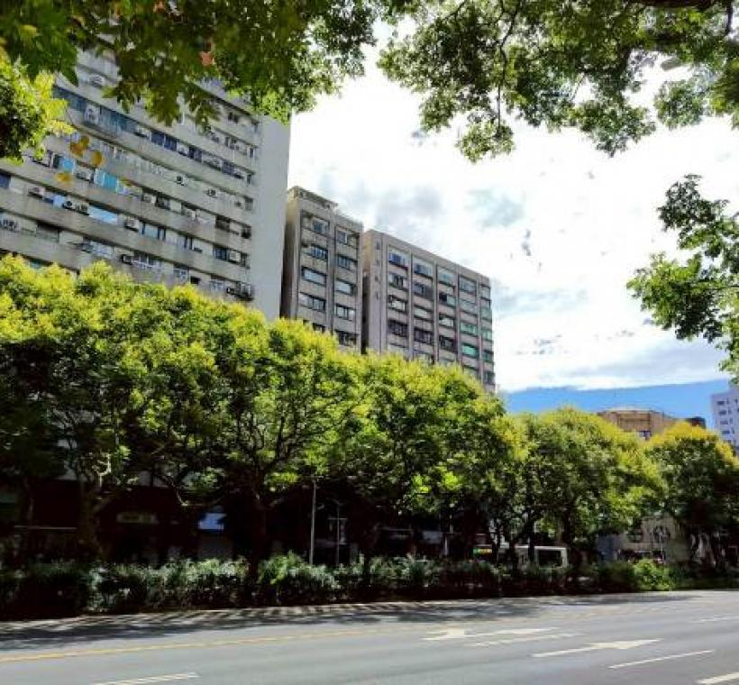 敦化南路上的臺灣欒樹秋天繽紛的色彩為這個城市帶來了活力