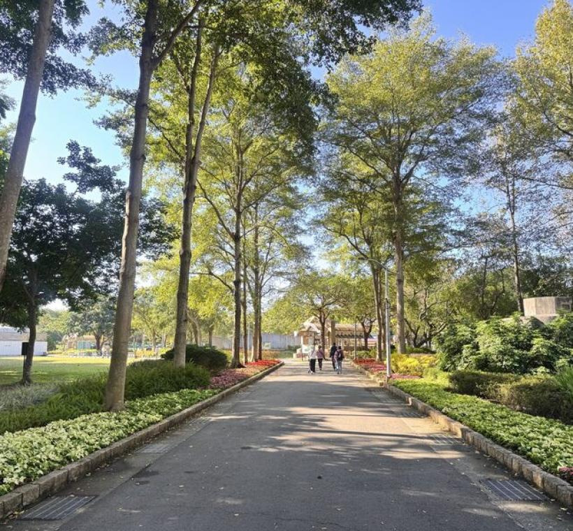 大安森林公園建國花市對面的公園2號出入口也換上了3色聖誕紅