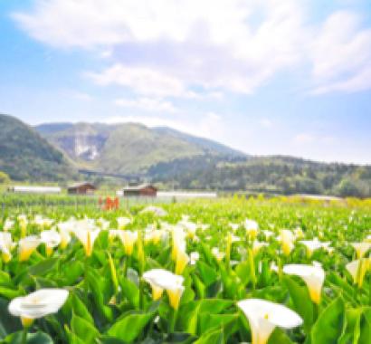 表演照表演照表演照。圖:公園處 / 提供