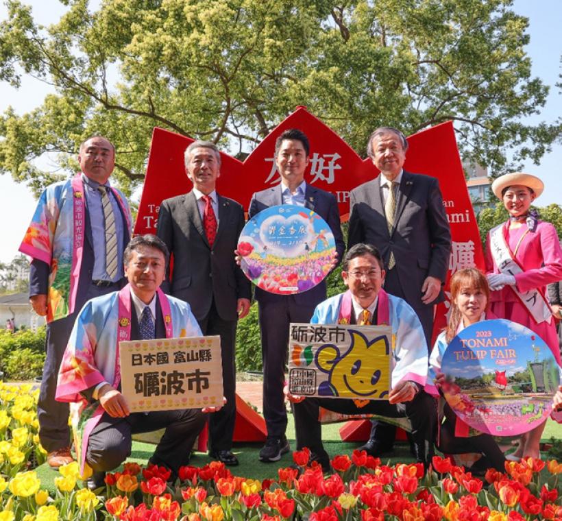 日本鬱金香