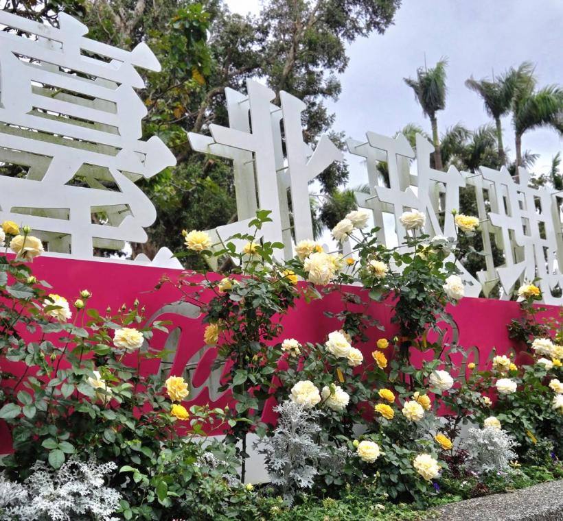 2025臺北玫瑰展玫瑰園盛開照