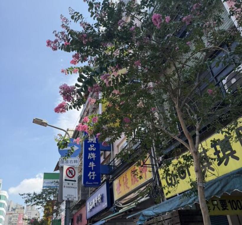 西園路紫薇形塑街景風情