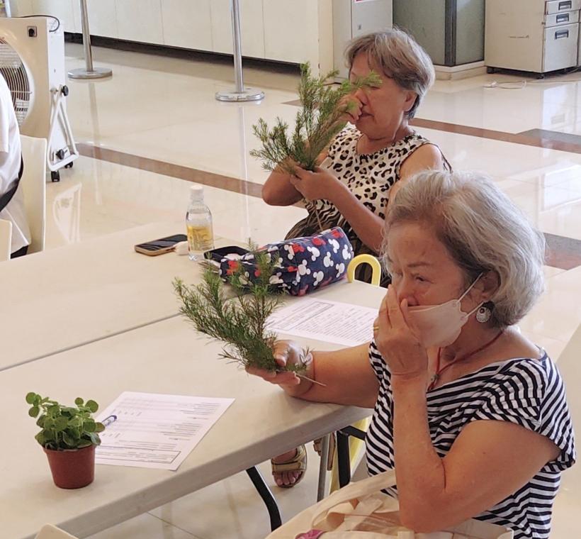 製作芳香瓶前學員先嗅聞新鮮的茶樹枝條