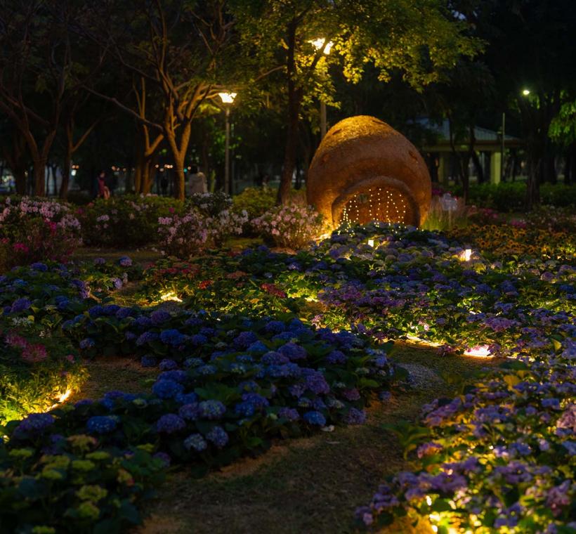 夜間燈飾下營造出的浪漫繡球花海