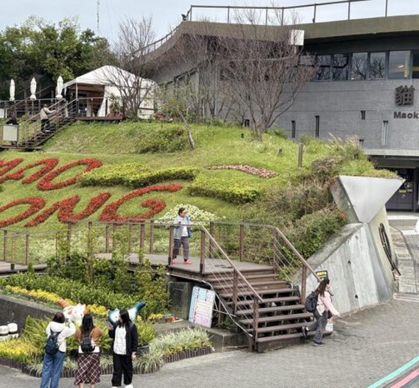 步出貓空站映入眼簾的花海