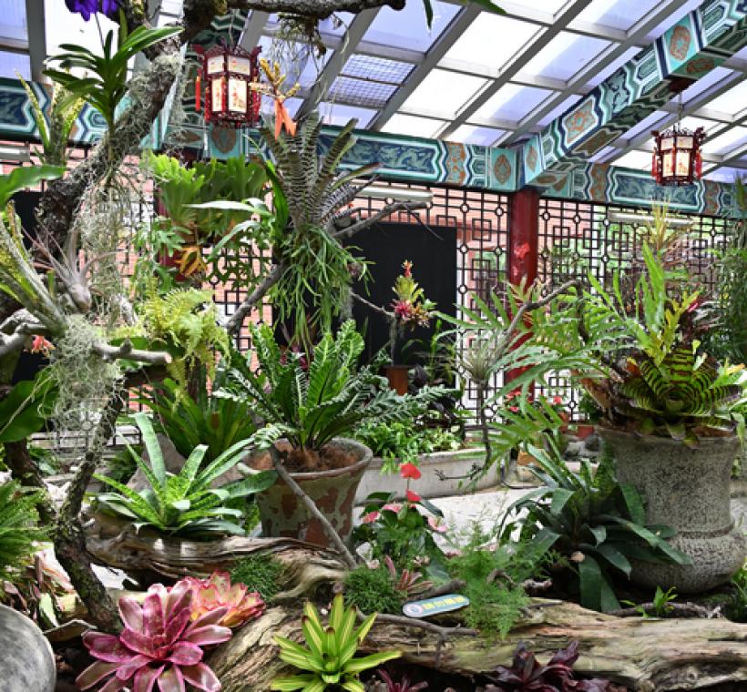 多種植栽錯落交織，展現植物原棲地的分布位置與生長特性