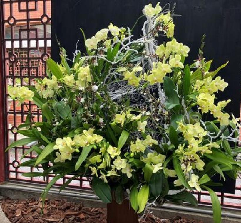 運用黃色系蝴蝶蘭搭配深色系文心蘭與白色枯樹枝，交織出水滴型架構