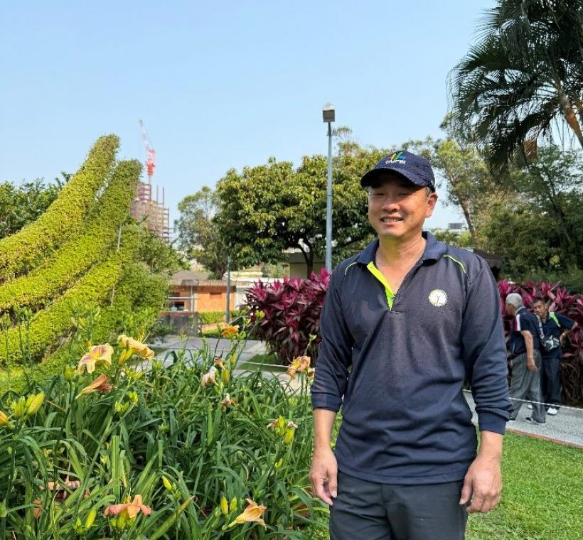 金針花由園藝所員工自行交種培育