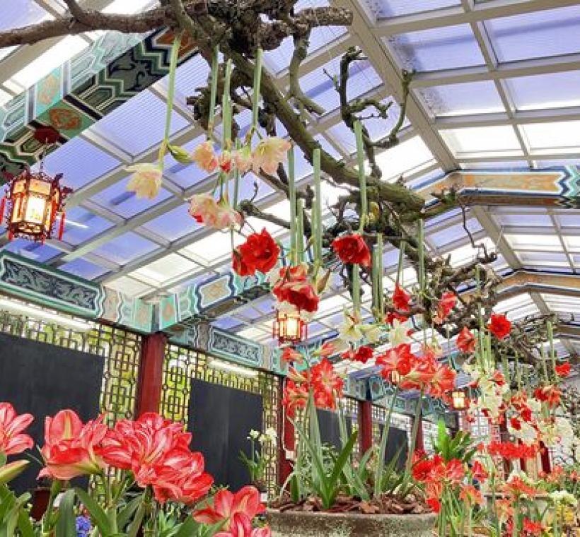 由花藝設計師精心設計上、下層次呼應的水面鏡射意象