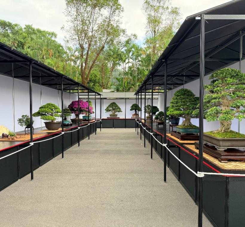 集結全台盆景栽培手，精選超過六十件珍貴盆景，展現深厚功力與自然之美。