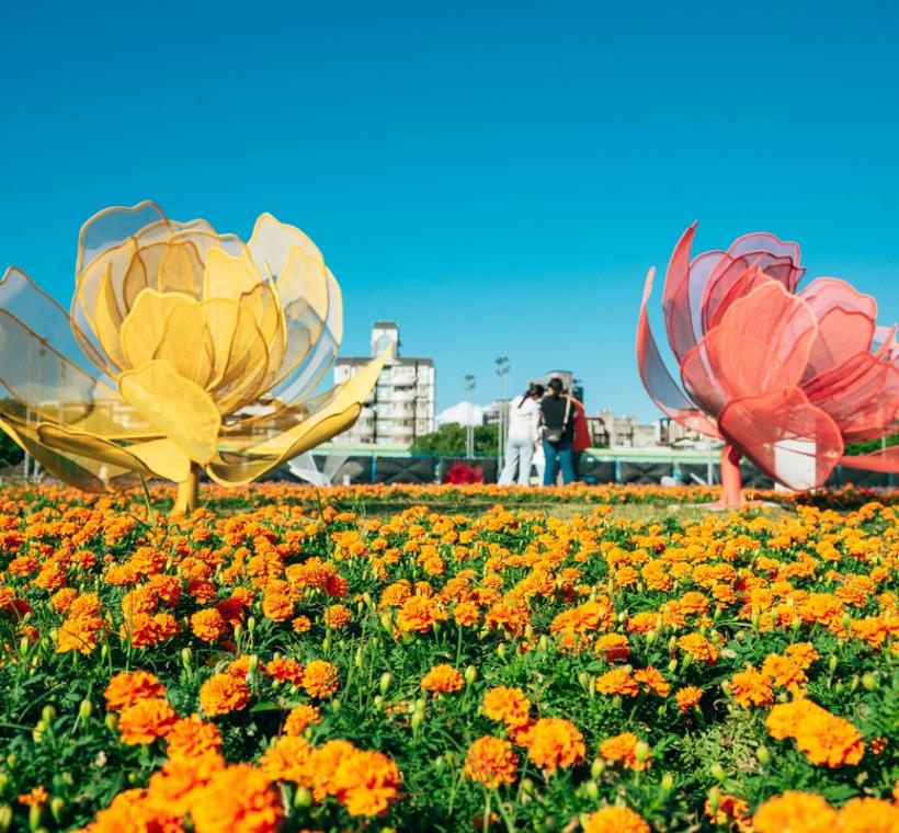 2025中正河濱花海