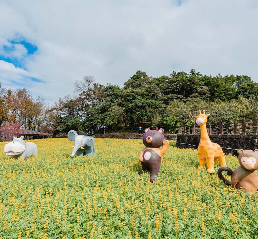 魯冰花海