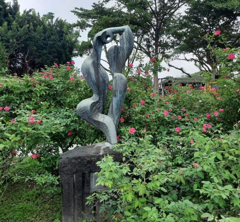 Madame Antoine Rebe紅色混合、複花，香味濃鬱。