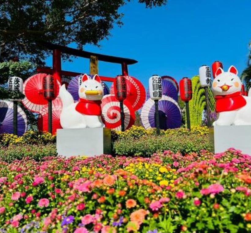 菊開祈願．台日友好 笠間菊花節展區，展出日式和傘及獻燈，兩隻狐狸雕像，帶大家來場日本小旅行