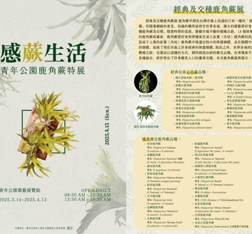 鹿角蕨起特展314起至413