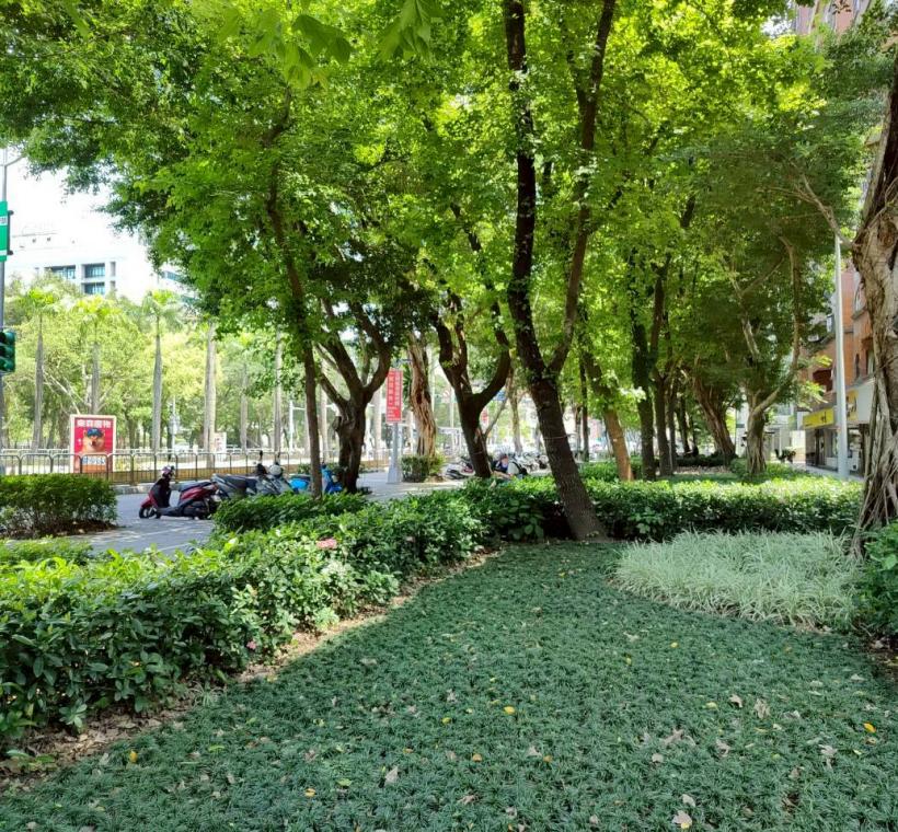 仁愛路四段作為市中心重要幹道，植栽景觀同時肩負環境美化與生活陪伴的角色