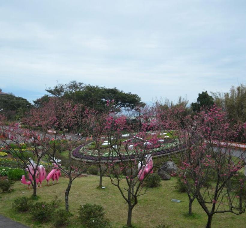 陽明公園花鐘廣場(拍攝日期114年2月6日)