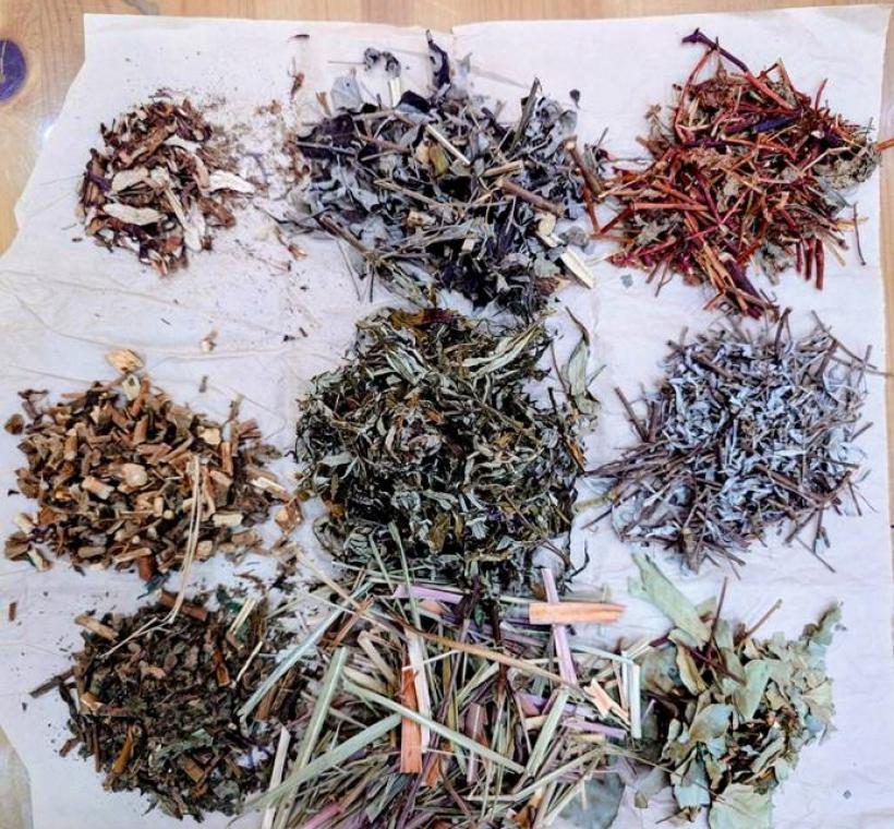 結合各式香草植物，搭配自己喜愛的香草茶。