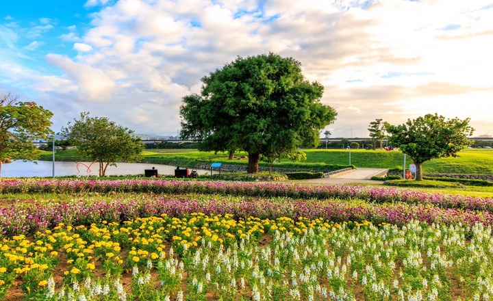 Meiti Riverside Park Flower Carnival